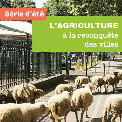 L'agriculture à la reconquête des villes L'agriculture à la reconquête des villes