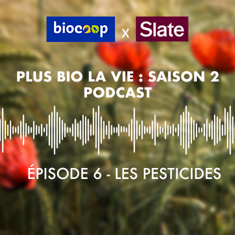 Podcast Plus bio la vie : les pesticides, ces intrus dans nos assiettes Podcast Plus bio la vie : les pesticides, ces intrus dans nos assiettes