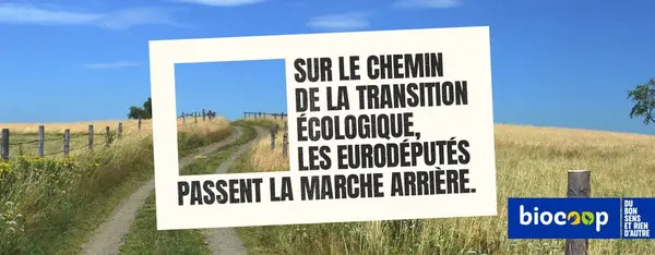 Sur le chemin de la transition écologique, les eurodéputés passent la marche arrière. Sur le chemin de la transition écologique, les eurodéputés passent la marche arrière.